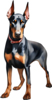 ai generado caballero pinscher perro. acuarela clipart. png