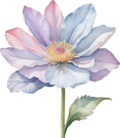 ai généré aquarelle La peinture de une mignonne pastel fleur. png