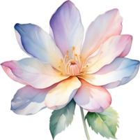 AI generated Watercolor painting of a cute pastel flower. png