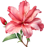 AI generated Watercolor painting of an Azalea flower. png