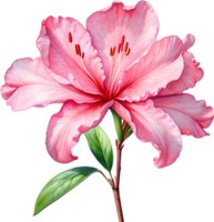 AI generated Watercolor painting of an Azalea flower. png
