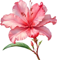 ai genererad vattenfärg målning av ett azalea blomma. png
