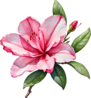 ai gegenereerd waterverf schilderij van een azalea bloem. png