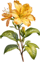 AI generated Watercolor painting of an Azalea flower. png