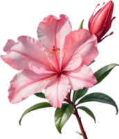 AI generated Watercolor painting of an Azalea flower. png