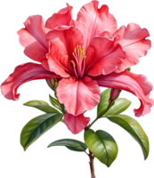 AI generated Watercolor painting of an Azalea flower. png