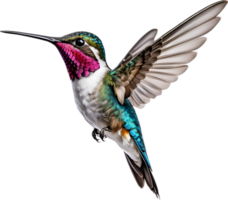 ai generato avvicinamento Immagine di un' ape colibrì uccello. png