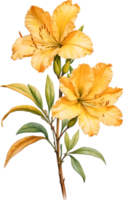 AI generated Watercolor painting of an Azalea flower. png