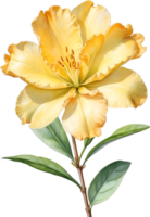 AI generated Watercolor painting of an Azalea flower. png