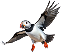 AI generated Close-up image of an Atlantic puffin bird. png