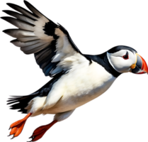 ai generiert Nahansicht Bild von ein atlantisch Papageientaucher Vogel. png