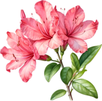 AI generated Watercolor painting of an Azalea flower. png