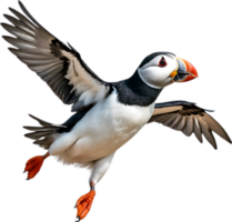 AI generated Close-up image of an Atlantic puffin bird. png
