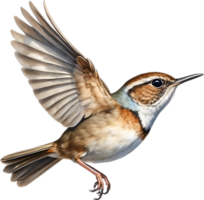 AI generated Close-up image of a Eurasian Wren bird. png