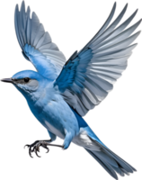 AI generated Close-up image of a Mountain Bluebird. png