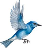 ai gegenereerd detailopname beeld van een berg blauwe vogel. png