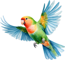 AI generated Close-up image of a Peach-Faced Lovebird. png