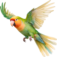 AI generated Close-up image of a Peach-Faced Lovebird. png