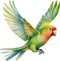AI generated Close-up image of a Peach-Faced Lovebird. png