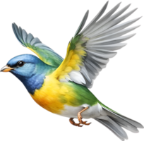 ai generiert Nahansicht Bild von ein tropisch parula Vogel. png