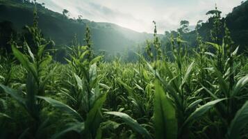 AI generated Green Fields Under Blue Sky Landscape photo