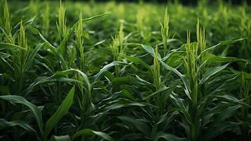 AI generated Green Fields Under Blue Sky Landscape photo