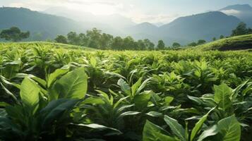 AI generated Green Fields Under Blue Sky Landscape photo