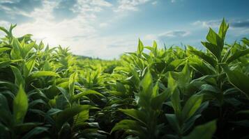AI generated Green Fields Under Blue Sky Landscape photo