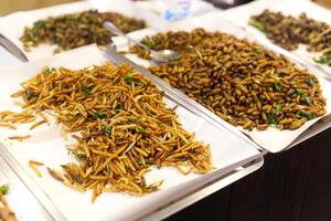 close up of a Fried thai insects sell in night local market photo