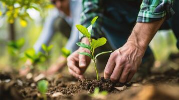 AI generated Close-up of male hands planting a tree in the garden. photo