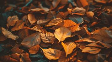 AI generated Autumn leaves background. photo