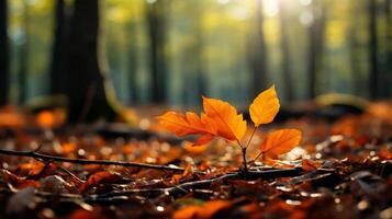 AI generated Autumn leaves in the forest. Nature background. photo