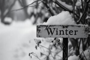 AI generated Black and white image of with the word WINTER photo