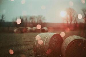 AI generated Bale of hay in the field at sunset. Bokeh effect. photo