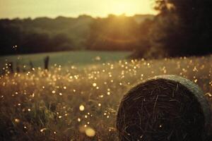 AI generated Bale of hay in the field at sunset. Bokeh effect. photo