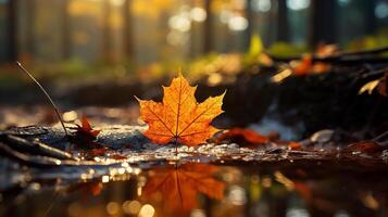 AI generated Maple leaf in autumn forest with sun rays and reflection in water photo