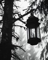 AI generated Lantern in the forest at night. Selective focus. photo