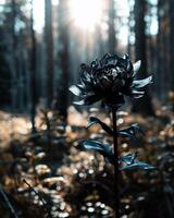 AI generated beautiful wild flower in the forest at sunset, black and white photo