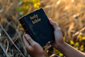 AI generated Bible in the hands on a background of dry grass photo