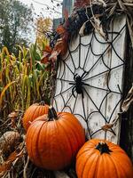 AI generated Halloween decorations with pumpkins in front of a rustic fence photo