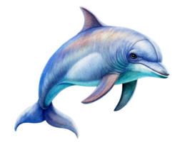 AI generated Dolphin Tropical Mammal- png