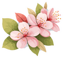 AI generated Cherry blossom flowers illustration isolated on transparent background png