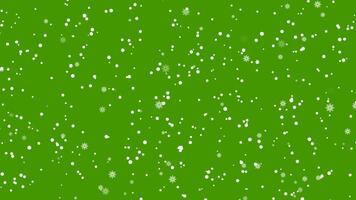 snöfall med snöflingor dropp ner animering på grön skärm. vinter- snö vit en faller ner täcka över 2d tecknad serie animation. vinter- tung snöfall storm. video