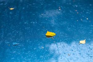 Superficie de coche metálica azul aguamarina húmeda en la mañana lluviosa de otoño con hojas de abedul amarillas - enfoque selectivo con desenfoque foto