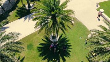 los Ángeles. Estados Unidos 10 junio 2022. personas descansando debajo un palma árbol en el sombra en el medio de el ciudad. calor y creciente aire temperatura. video