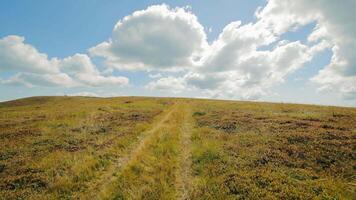 Path Through the Rolling Hills Under a Cloudy Sky, A grassy trail meanders over gentle hills against a backdrop of a bright blue sky dotted with fluffy clouds. video