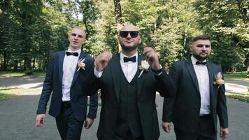 groomsmen gående tillsammans i parkera. de brudgum bär svart glasögon. en grupp av groomsmen gående sida förbi sida i en parkera, förkroppsligande de anda av kamratskap. video