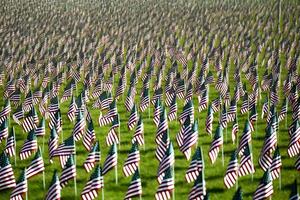 AI generated Memorial Day tribute. Many small American flags on a green lawn, neural network generated photorealistic image photo