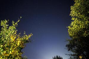 estrellado noche cielo en jardín, amplio ángulo capturar en cenit dirección foto