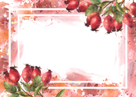 Rahmen von wild Hagebutte. Ast rot Dornbusch Früchte, Hund Rose Beeren, Grün Blätter mit Aquarell spritzt Hand gezeichnet Illustration zum Banner, Post Karte, medizinisch Etikett. Vorlage png